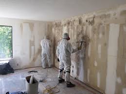 Biohazard Mold Removal in Mcgehee, AR